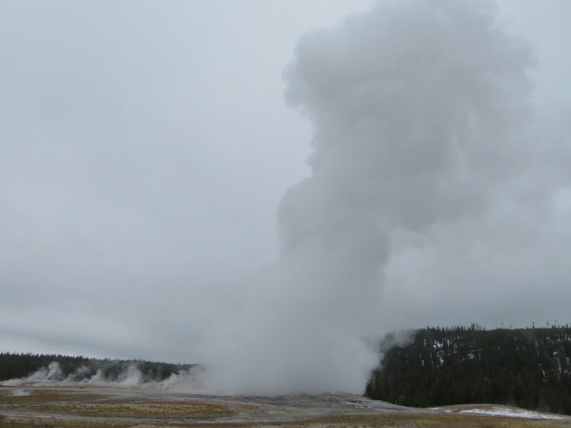Old Faithful, The geyser is in there somewhere